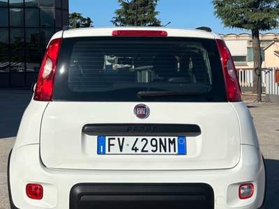 Fiat Panda fiat panda 4x4 Bianco usata Ferentino