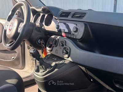 Fiat Panda fiat panda 4x4 Bianco usata Ferentino