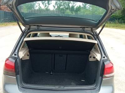 Volkswagen Golf Golf 1.6 tdi usata MONTESPERTOLI