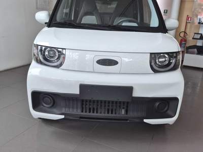 Birba Quadriciclo 2 posti 100% elettrico Bianco usata Avellino