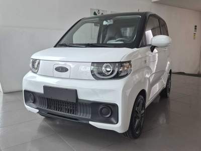 Birba Quadriciclo 2 posti 100% elettrico Bianco usata Avellino