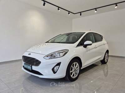 Ford Fiesta Fiesta 1.1 75 CV GPL 5 porte Titanium usata MONTECOSARO