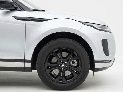 Land Rover Range Rover Evoque Range Rover Evoque 150CV - 24 mesi garanzia inclusa Argento usata Anagni