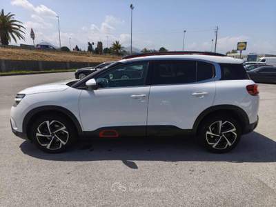 Citroen C5 Aircross BlueHDi 130 S&S EAT8 Feel Bianco usata Milazzo