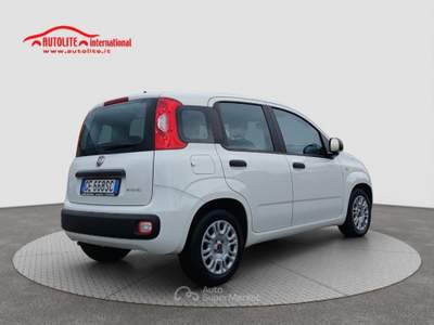 Fiat Panda 1.0 FireFly S&amp;S Hybrid Bianco usata San Zenone degli Ezzelini