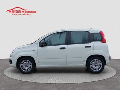 Fiat Panda 1.0 FireFly S&amp;S Hybrid Bianco usata San Zenone degli Ezzelini