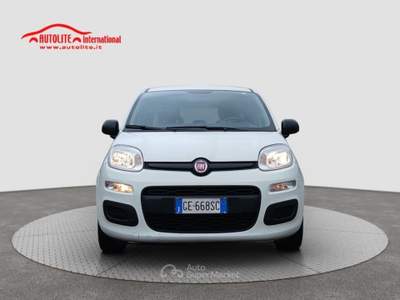 Fiat Panda 1.0 FireFly S&amp;S Hybrid Bianco usata San Zenone degli Ezzelini