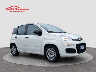 Fiat Panda 1.0 FireFly S&amp;S Hybrid Bianco usata San Zenone degli Ezzelini