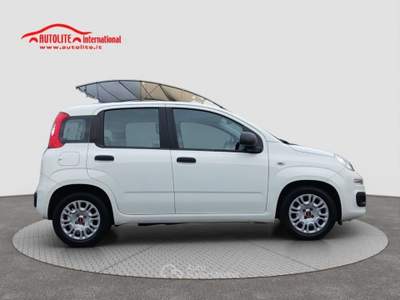 Fiat Panda 1.0 FireFly S&amp;S Hybrid Bianco usata San Zenone degli Ezzelini