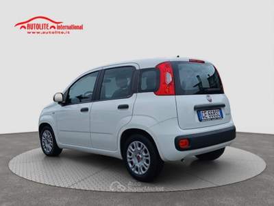 Fiat Panda 1.0 FireFly S&amp;S Hybrid Bianco usata San Zenone degli Ezzelini