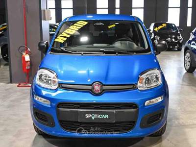 Fiat Panda 1.0 FireFly S&S Hybrid Icon Blu/Azzurro usata Pianezza