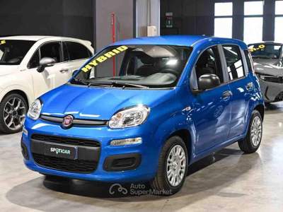 Fiat Panda 1.0 FireFly S&S Hybrid Icon Blu/Azzurro usata Pianezza