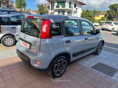 Fiat Panda FireFly S&S Hybrid City Life Blu/Azzurro usata Teano