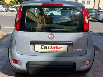 Fiat Panda FireFly S&S Hybrid City Life Blu/Azzurro usata Teano
