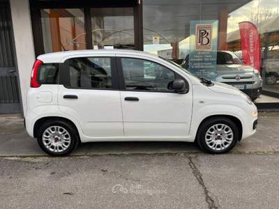 Fiat Panda 1.0 firefly hybrid s&s 70cv 5p.ti Bianco usata Castelletto di Branduzzo