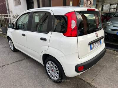 Fiat Panda 1.0 firefly hybrid s&s 70cv 5p.ti Bianco usata Castelletto di Branduzzo