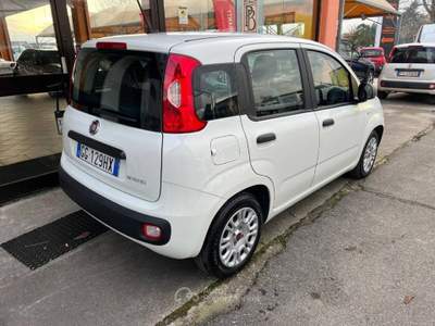 Fiat Panda 1.0 firefly hybrid s&s 70cv 5p.ti Bianco usata Castelletto di Branduzzo