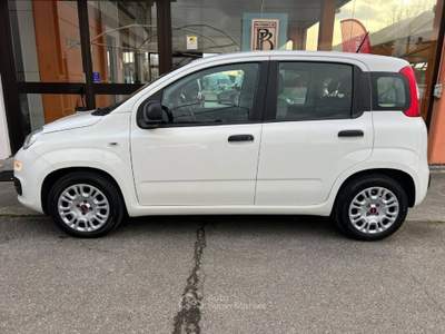 Fiat Panda 1.0 firefly hybrid s&s 70cv 5p.ti Bianco usata Castelletto di Branduzzo