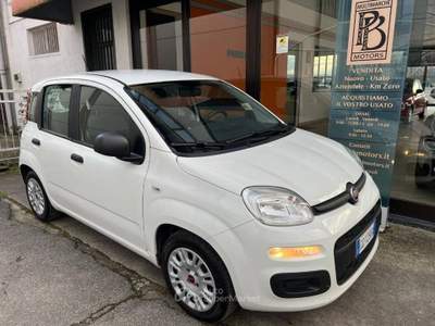 Fiat Panda 1.0 firefly hybrid s&s 70cv 5p.ti Bianco usata Castelletto di Branduzzo