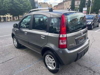 Fiat Panda Fiat Panda 1.3 D Multijet DPF Climbing #10794 Grigio usata Bastia Umbra