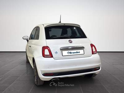Fiat 500  1.2 sport 69cv my20 Bianco usata Firenze