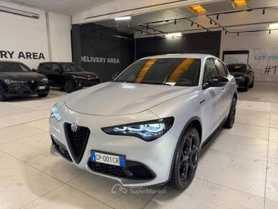 Alfa Romeo Stelvio  - stelvio 2.2 t competizione q4 210cv auto Grigio usata Biella