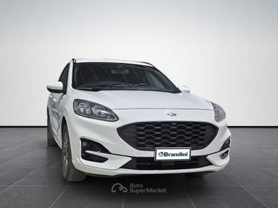 Ford Kuga  2.0 ecoblue st-line x 2wd 120cv auto Bianco usata Firenze