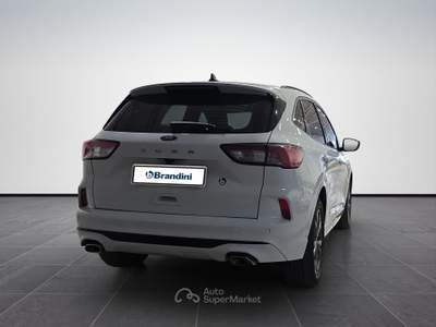 Ford Kuga  2.0 ecoblue st-line x 2wd 120cv auto Bianco usata Firenze
