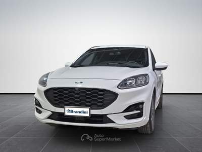 Ford Kuga  2.0 ecoblue st-line x 2wd 120cv auto Bianco usata Firenze