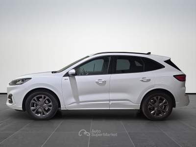 Ford Kuga  2.0 ecoblue st-line x 2wd 120cv auto Bianco usata Firenze