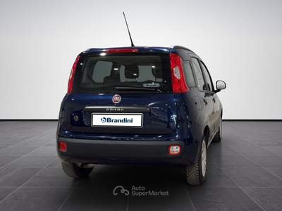 Fiat Panda  1.2 easy easypower gpl 69cv Blu/Azzurro usata Firenze