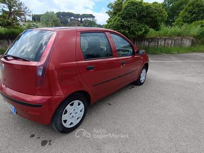 Fiat Punto Fiat Punto 1,2 benzina Dynamic usata Cetona