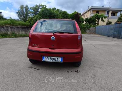 Fiat Punto Fiat Punto 1,2 benzina Dynamic usata Cetona