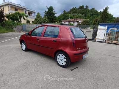 Fiat Punto Fiat Punto 1,2 benzina Dynamic usata Cetona