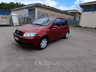 Fiat Punto Fiat Punto 1,2 benzina Dynamic usata Cetona
