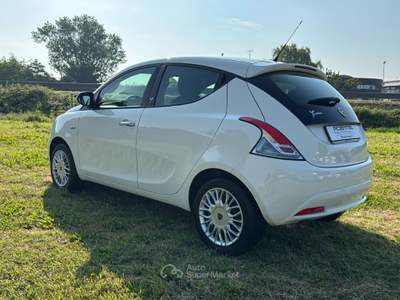 Lancia Ypsilon 1.2 69cv Silver Bianco usata Rovigo