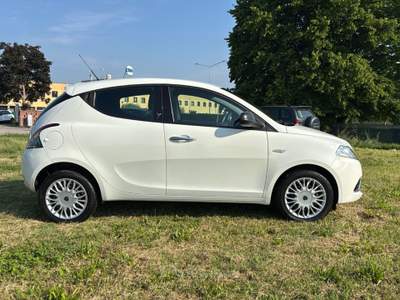 Lancia Ypsilon 1.2 69cv Silver Bianco usata Rovigo