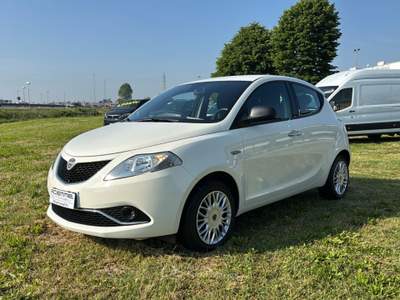Lancia Ypsilon 1.2 69cv Silver Bianco usata Rovigo