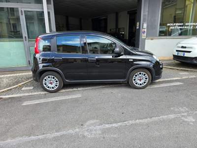 Fiat Panda Hybrid - Pari a nuovo Nero usata Ferentino