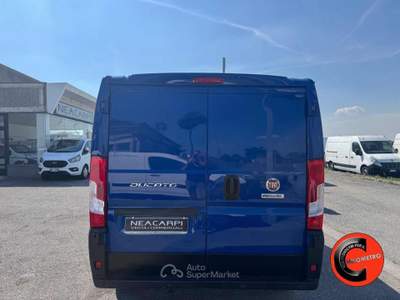Fiat Ducato 30 2.3 MJT 120 CV EURO 6D-TEMP(PC-TN L1H1)SENSORI- Blu/Azzurro usata Martignana di Po
