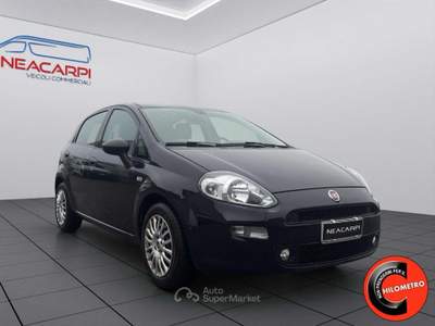 Fiat Punto 1.3 MJT 95 CV STREET-CRUISE-SENSORI-X NEOPATENTATI Blu/Azzurro usata Martignana di Po