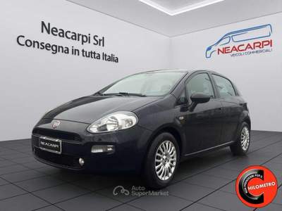 Fiat Punto 1.3 MJT 95 CV STREET-CRUISE-SENSORI-X NEOPATENTATI Blu/Azzurro usata Martignana di Po