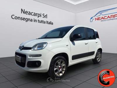 Fiat Panda VAN 4X4 1.3 MJT 80 CV-AUTOCARRO N1 2 POSTI-E6B+IVA Bianco usata Martignana di Po
