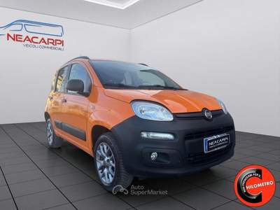 Fiat Panda VAN 4X4 1.3 MJT 80 CV-AUTOCARRO N1-SENSORI-E6B+IVA Arancione usata Martignana di Po