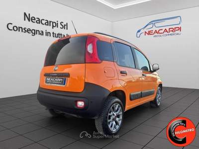 Fiat Panda VAN 4X4 1.3 MJT 80 CV-AUTOCARRO N1-SENSORI-E6B+IVA Arancione usata Martignana di Po