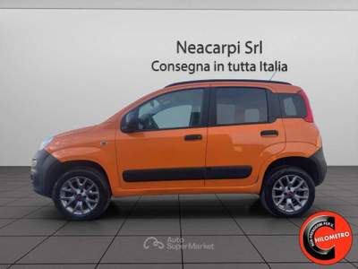 Fiat Panda VAN 4X4 1.3 MJT 80 CV-AUTOCARRO N1-SENSORI-E6B+IVA Arancione usata Martignana di Po