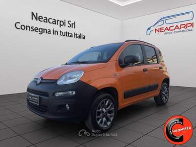 Fiat Panda VAN 4X4 1.3 MJT 80 CV-AUTOCARRO N1-SENSORI-E6B+IVA Arancione usata Martignana di Po