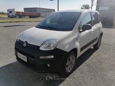 Fiat Panda VAN 4X4 1.3 MJT 80 CV-AUTOCARRO N1 2 POSTI-E6B+IVA Bianco usata Martignana di Po