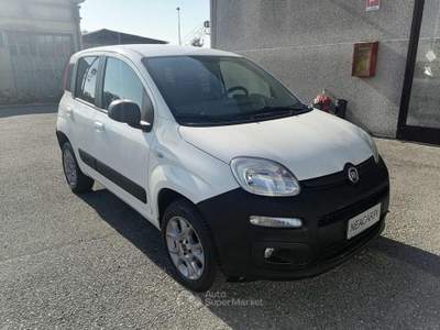 Fiat Panda VAN 4X4 1.3 MJT 80 CV-AUTOCARRO N1 2 POSTI-E6B+IVA Bianco usata Martignana di Po