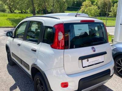 Fiat Panda  0.9 TwinAir Turbo S&S 4x4 Bianco usata Paluzza